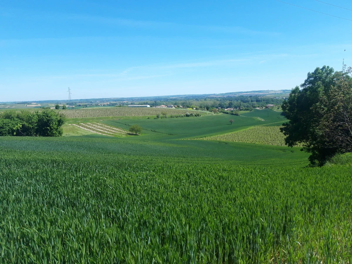 Combe de Narcaud - Marsac